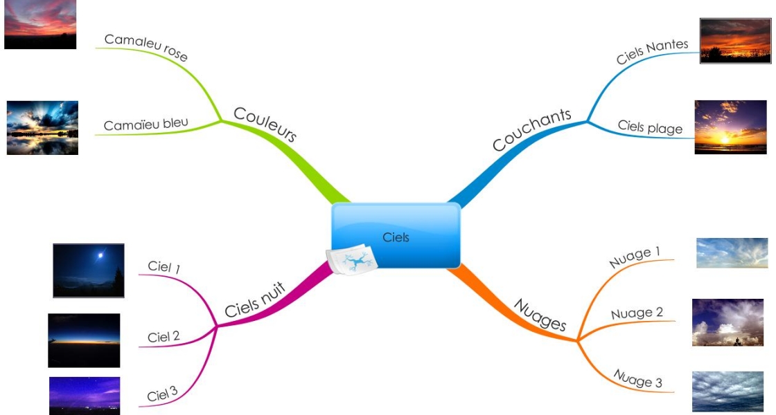 La carte-organisation (photothèque)