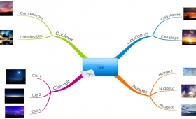 La carte-organisation (photothèque)